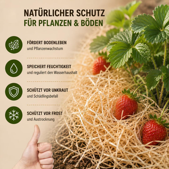 20 Kilogramm (Kg) Holzwolle | Natur | Erdbeerholzwolle | In Deutschland hergestellt | Ideal als Füll