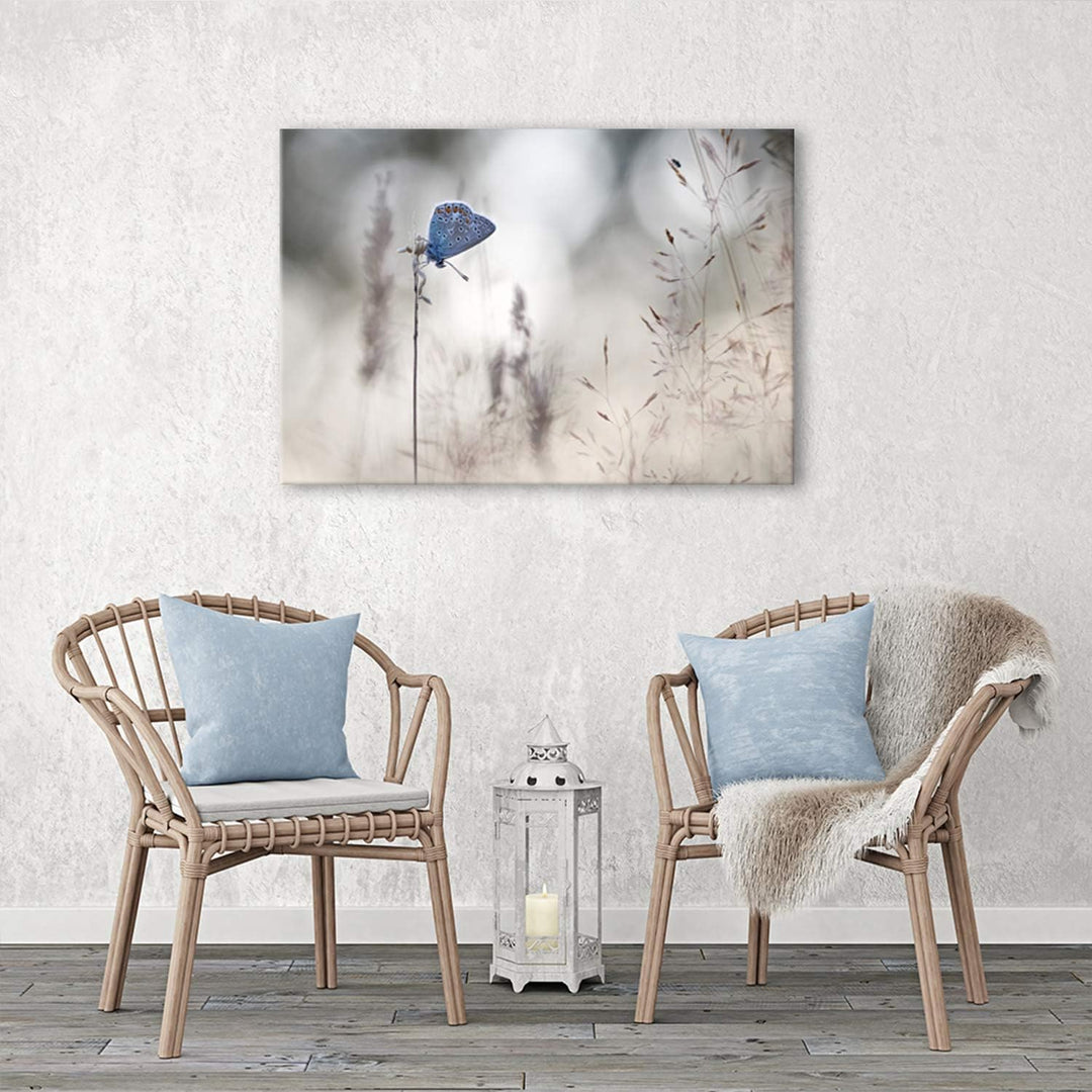 Feeby Wandbilder Insekten Schmetterlinge XXL 90x60 cm 1Teilig Bilder Leinwandbilder Modern Bild auf