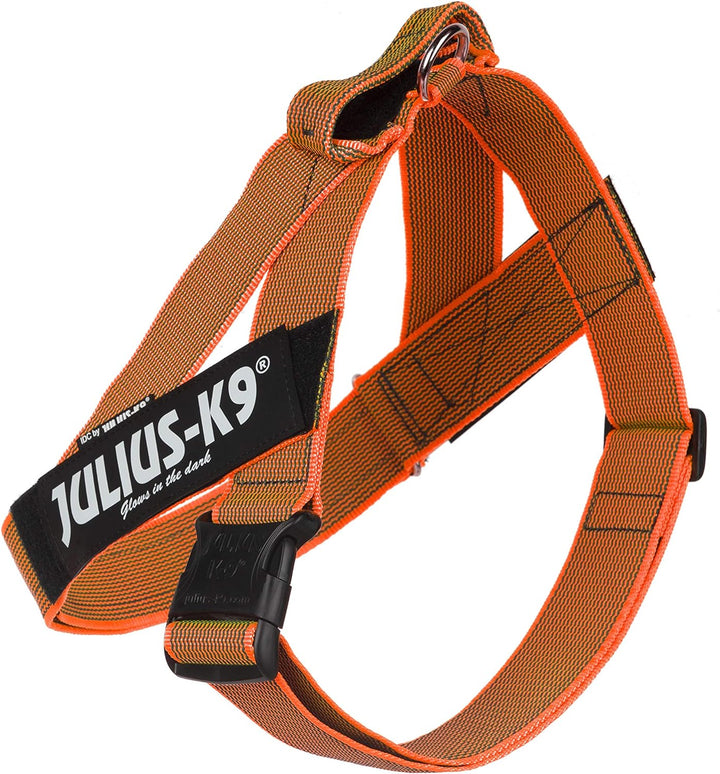 Julius-K9, Color & Gray, Beltgeschirr L / 1 orange-grau, L / 1 orange-grau