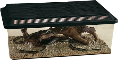 Fauna-Box Low schwarz 50,5 x 30,5 x 18 cm; 18,0 ltr.