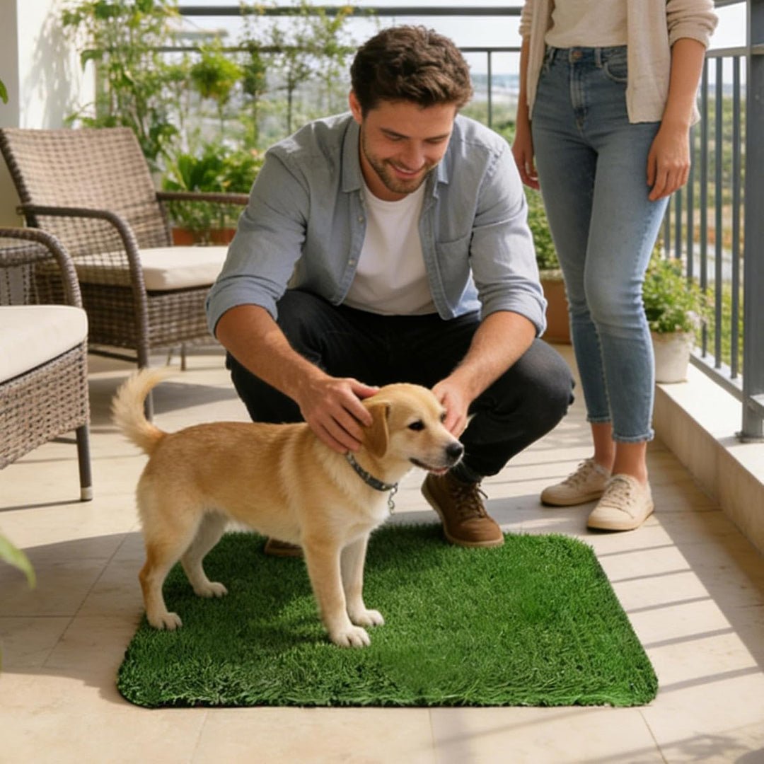 Gras PIPI Matten Für Hunde - Künstliche Welpen Stubenreinheit Trainingshilfe | Luce Notturna Finto A