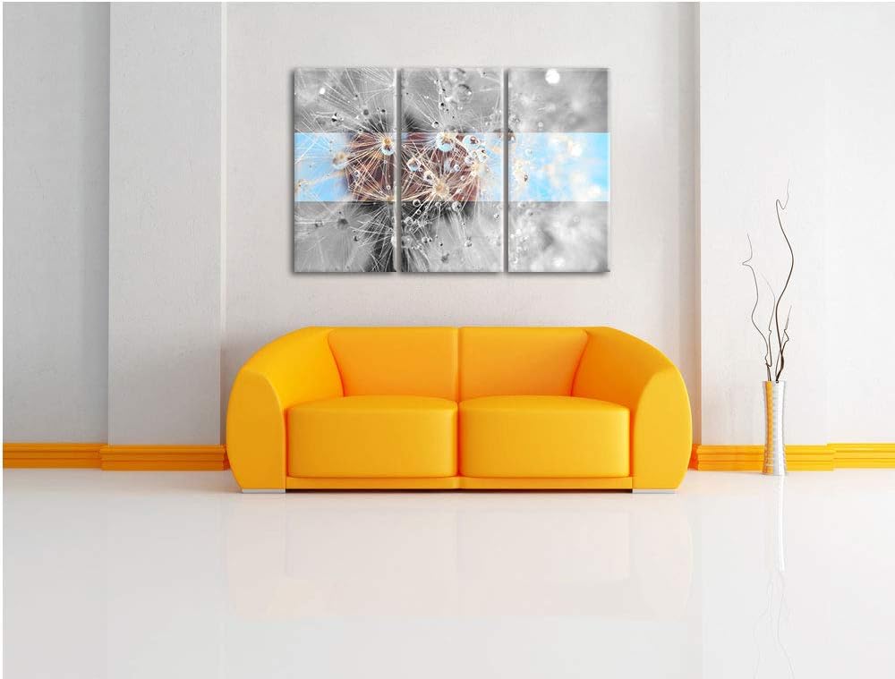 Tropfen an Pusteblume abstrakt schwarz/weiss 3-Teiler Leinwandbild 120x80 Bild auf Leinwand, XXL rie