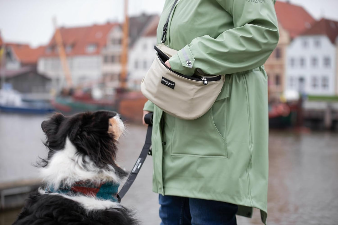 Leckerlibeutel mit Kotbeutelspender – Wasserdichte Gassitasche aus recyceltem Material für Hundetrai