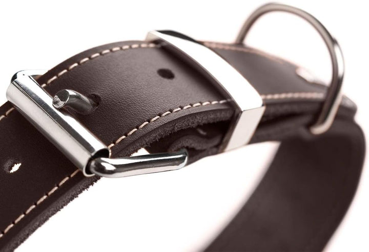 HUNTER AALBORG SPECIAL Hundehalsband, Leder, strapazierfähig, komfortabel, 60 (M-L), dunkelbraun dun