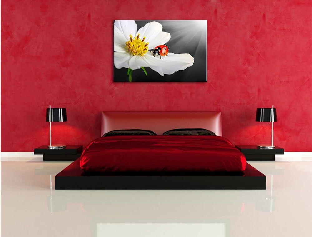 Pixxprint Marienkäfer auf Einer weissen Blume als Leinwandbild/Grösse: 100x70 cm/Wandbild/Kunstdruck