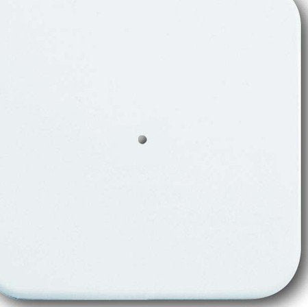 Busch-Jaeger 6731-214 Wandsender Waveline 1-Fach