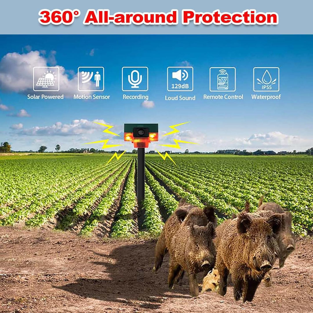 KEEDA Solar 129dB Sound & Blitzlicht 360° Bewegungssensor Alarm, Aufzeichnung Benutzerdefinierter Na