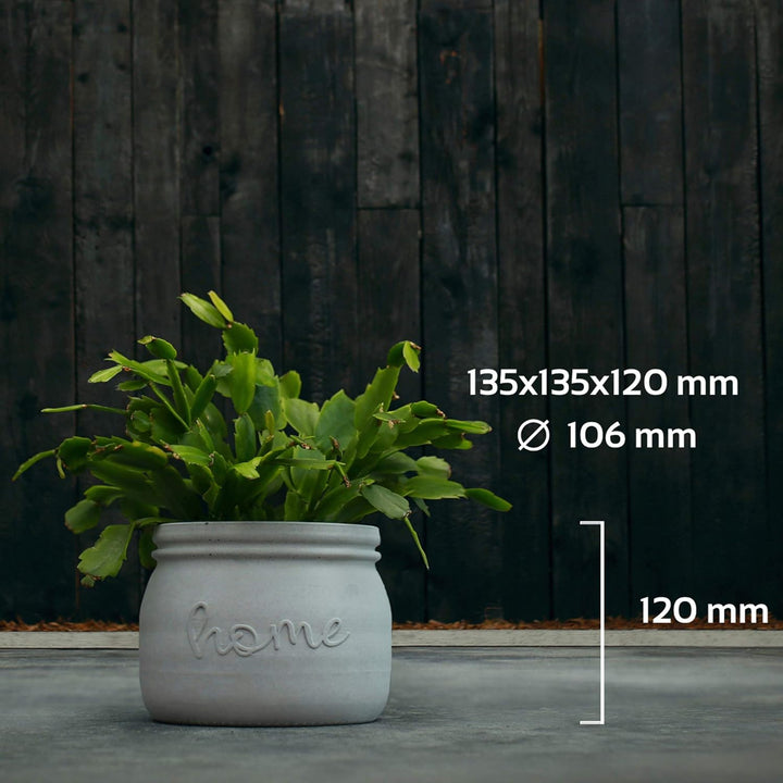 CONCRETTE Blumentopf Blumenkübel Zement-Pflanzkübel Übertopf aus Beton Home Ø 11 cm | 17 Farben 16x1