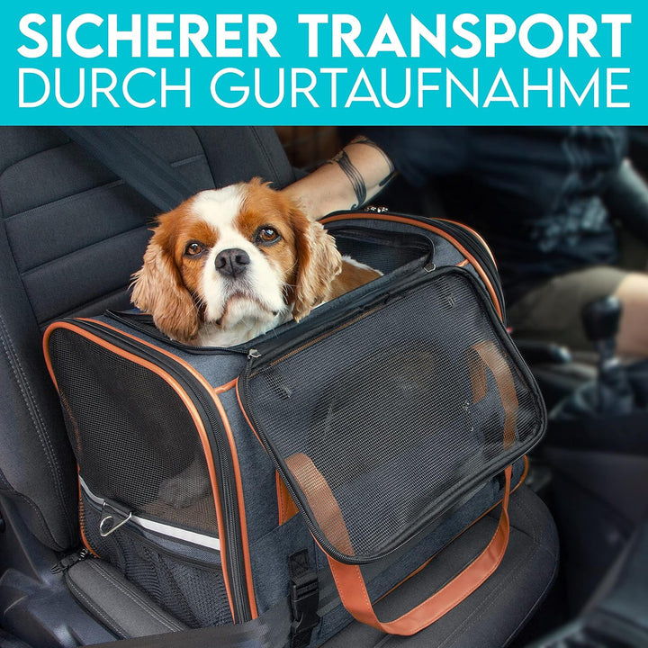 HUND IST KÖNIG® Hundetasche Katzentasche bis 6,5kg - robust & formstabil | Hochwertige Hundetragetas