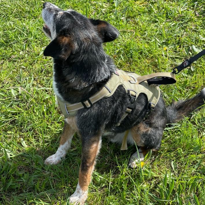 ELBA Sicherheitsgeschirr Hund ausbruchsicher – Verstellbares No-Pull Hundegeschirr gepolstert &amp; refl