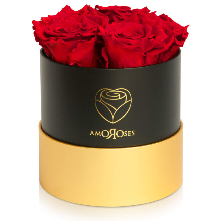 Amoroses Petite - Geschenkbox 5 ewige stabilisierte Rosen - Eleganter Strauss echter Blumen | Gesche