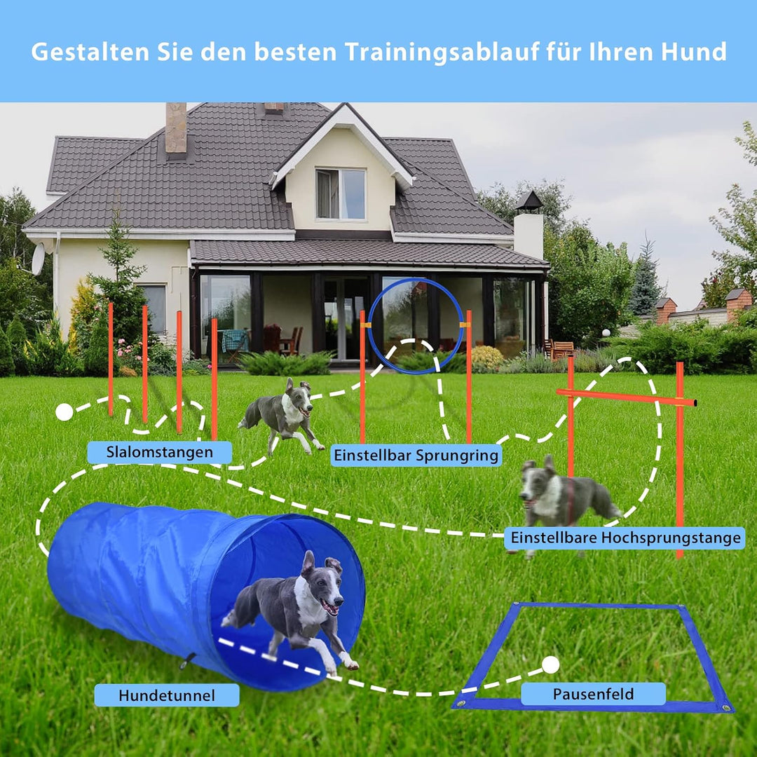 LARS360 Agility-Ausrüstungsset für Hunde Pet Agility Trainingsgeräten Hindernisse mit Hundetunnel Sp