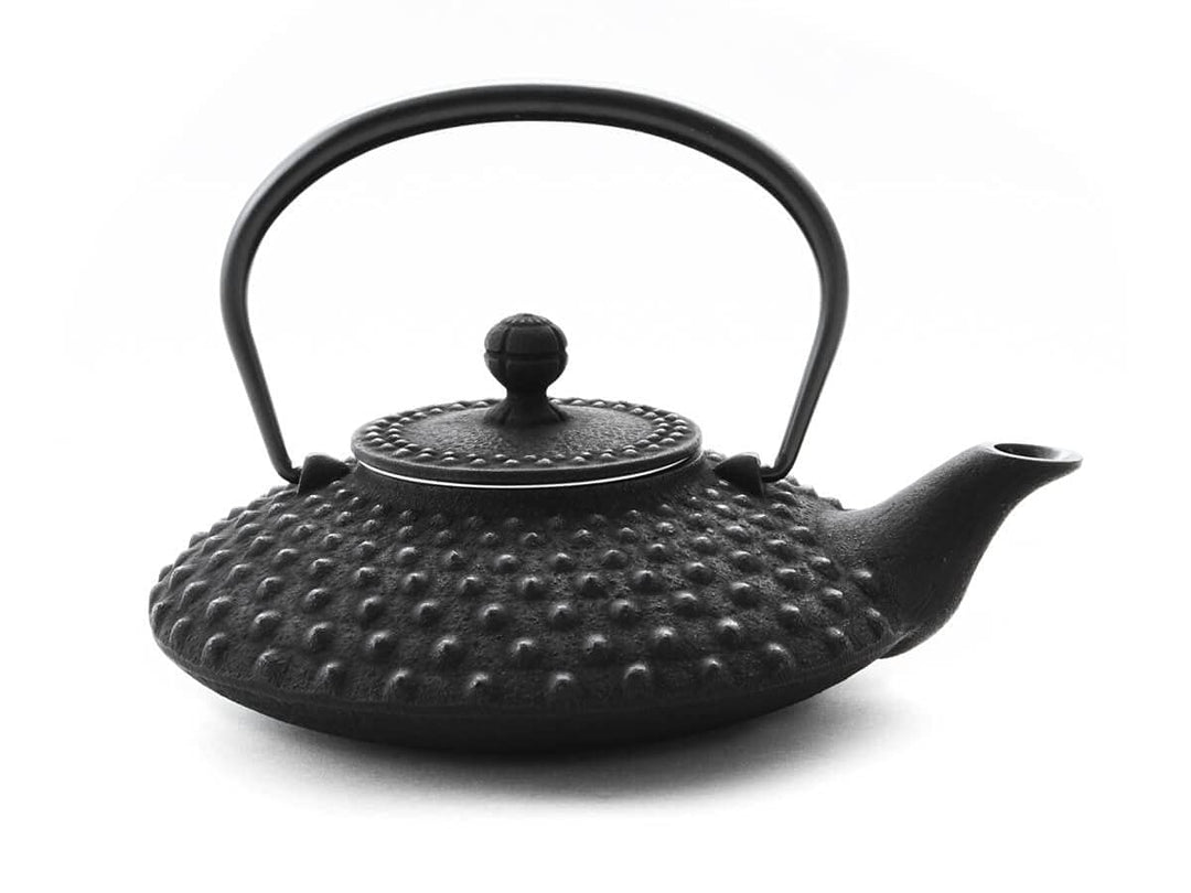 Iwachu Teekanne Gusseisen. Japanische Kyusu Hira Arare, Original, Schwarz 500ml, 0,5 Liter Sieb-Eins