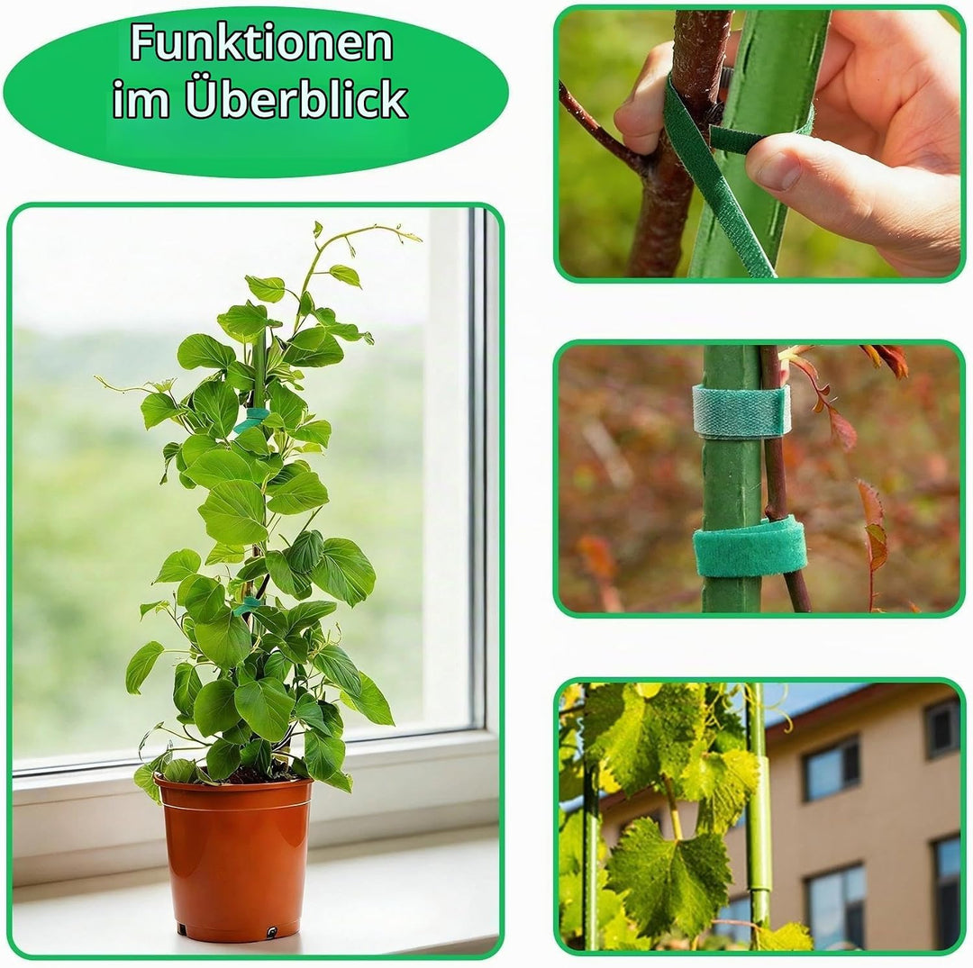 30 X Pflanzstäbe 40cm zum Verlängern, Rankstäbe &amp; Tomatenstangen als stabile Kletterhilfe für Pflanz