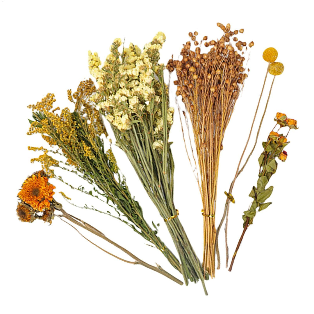 Hamster Heublumen Einstreu, Blumen-Hamster-Bettwäsche, Trockenblumen Für Hamster, Trockenblumen-Hams