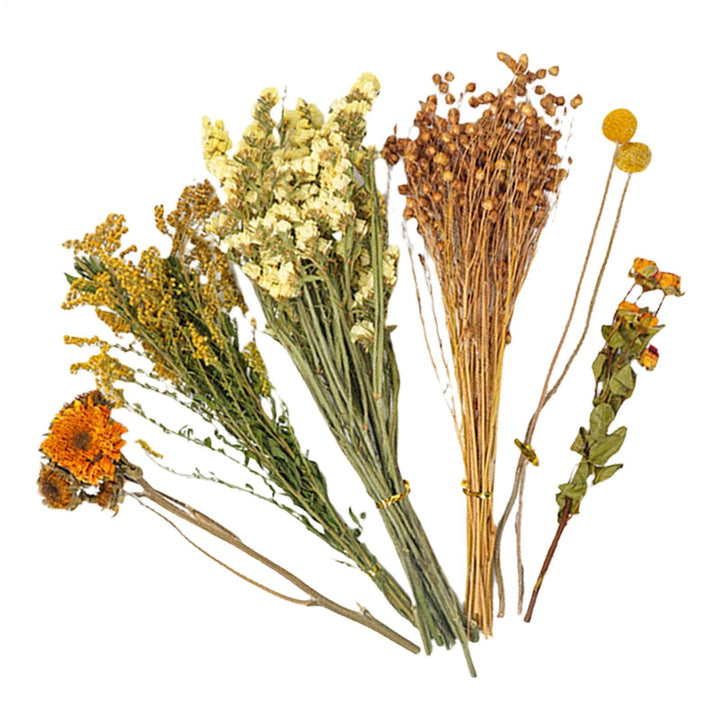 Hamster Heublumen Einstreu, Blumen-Hamster-Bettwäsche, Trockenblumen Für Hamster, Trockenblumen-Hams