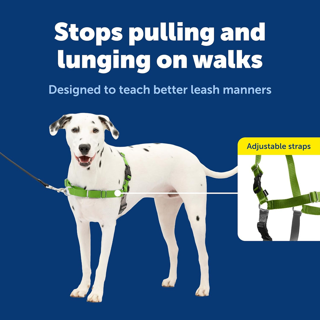 PetSafe Easy Walk Hundegeschirr Apfelgrün/Grau Medium/Large (Pack of 1), Apfelgrün/Grau Medium/Large