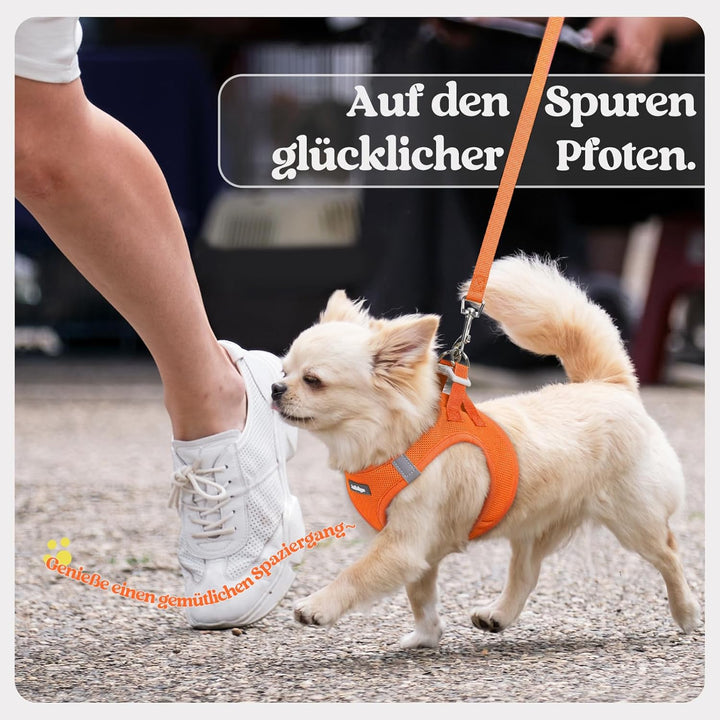rabbitgoo Hundegeschirr Kleine Hunde mit Leine, Step-in Welpengeschirr Weich Mesh für Spaziergänge,