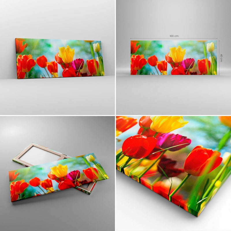 Panorama Bilder auf Leinwand 100x40cm Leinwandbild Tulpe Blume Plantage Wiese Gross Wanddeko Bild Sc