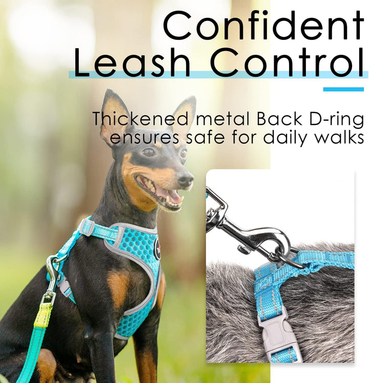 ThinkPet No-Pull Hundegeschirr Leine Set, Atmungsaktiv Brustgeschirr für Kleine Mittlere Grosse Hund