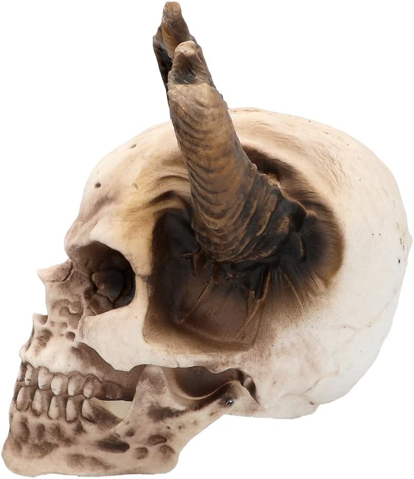 Boland 73082 - Totenkopf Teufel Deko, 20 cm, Dekofigur, Schädel mit Hörnern, Dekoration, Halloween D