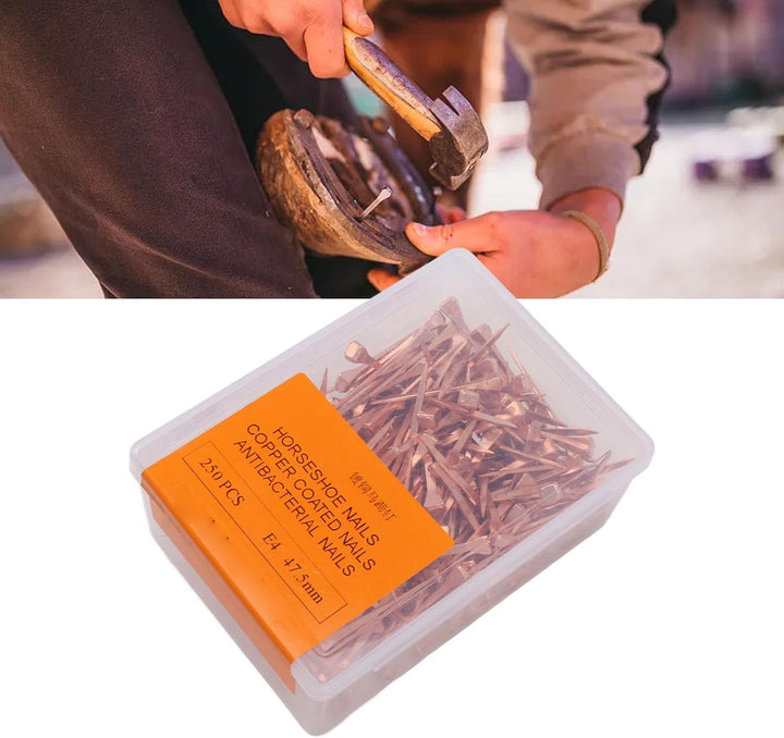 Hufeisennägel aus Kupfer, Hufeisennägel, Flexibel, Verschleissfest, Leicht, mit Aufbewahrungsbox für