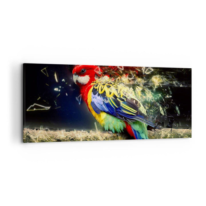 Wandbilder Dekoration Wohnzimmer Papagei Vogel Feder Panorama Bilder auf Leinwand 120x50cm Leinwandb