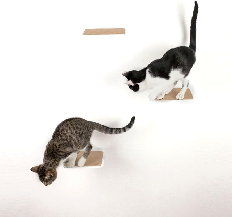 LucyBalu® Katzentreppe Wand Innen & Aussen 3er Set | Kletterwand für Katzen | Wandpark für Katzen bi