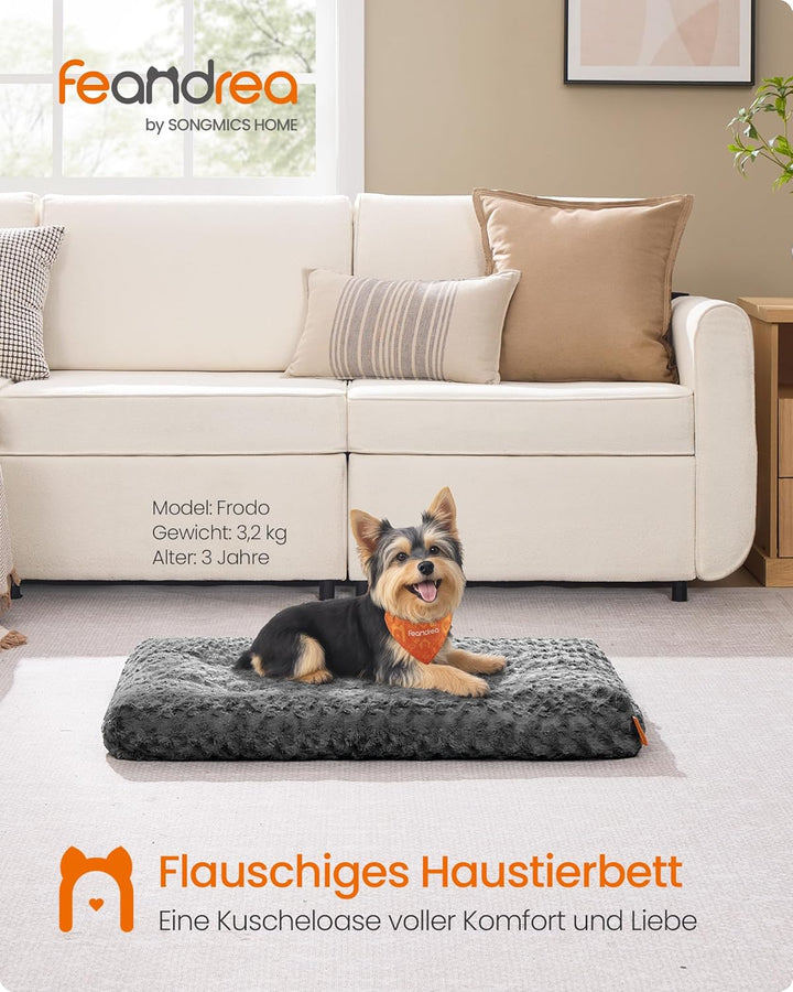 Feandrea Hundebett, Hundekissen M, für kleine Hunde, Flauschige Hundematte, Plüsch, 80 x 50 cm, weic