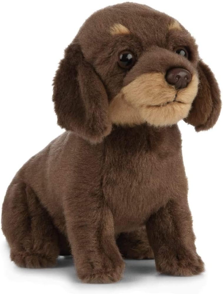 Living Nature AN484 Plüschspielzeug für Hunde und Welpen, Spaniels, schwarz/braun, Bundle Dackel Bun
