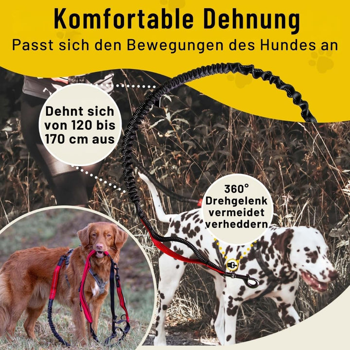 Hundefreund Bungeeteil für Joggingleine | Verlängerung für Hundeleine | Ersatzleine mit elastischem