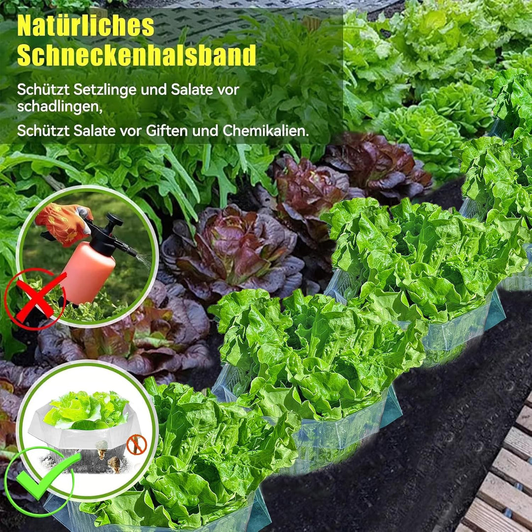 10 Stück Schneckenkragen,Schneckenschutz,Schneckenkragen aus Plastik,Schneckenschutzringe,Schneckenz