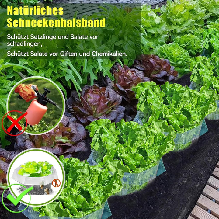 10 Stück Schneckenkragen,Schneckenschutz,Schneckenkragen aus Plastik,Schneckenschutzringe,Schneckenz