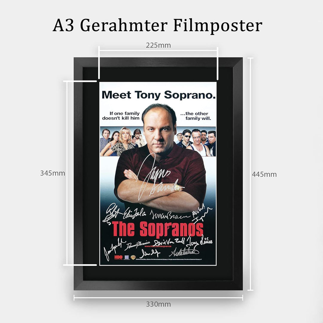 HWC Trading The Sopranos A3 Gerahmte Signiert Gedruckt Autogramme Bild Druck-Fotoanzeige Geschenk Fü