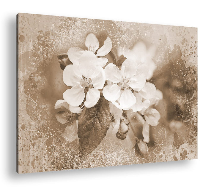deyoli künstlericher Blumenstrauss Format: 80x60 Effekt: Sepia als Leinwandbild, Motiv fertig gerahm