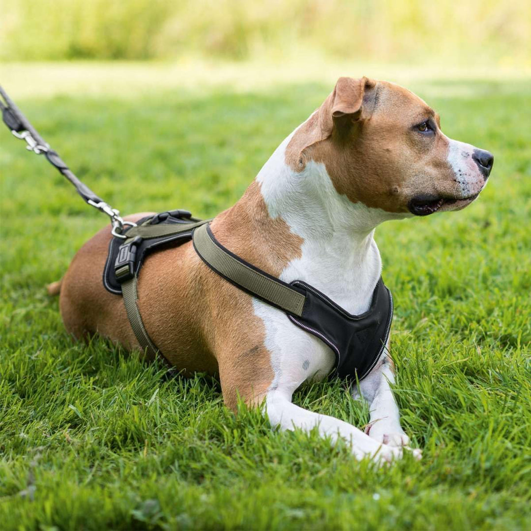HUNTER Hundegeschirr NEOPREN, Farbe: oliv/schwarz, strapazierfähiges Nylon, mit weichem Neopren gepo