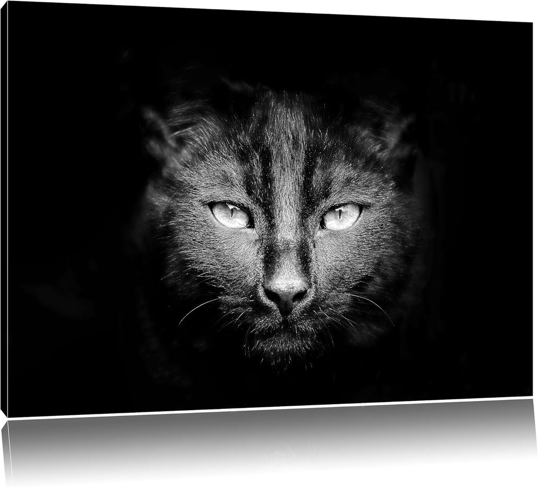 Pixxprint Dark schwarzes Katzengesicht als Leinwandbild/Grösse: 100x70 cm/Wandbild/Kunstdruck/fertig