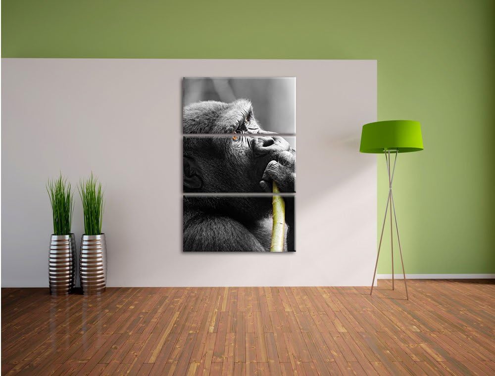 Pixxprint stolzer Gorilla isst als Leinwandbild/Grösse: 3 Teilig (120x80) cm/Wandbild/Kunstdruck/fer