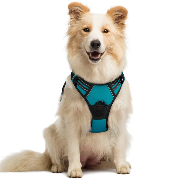 rabbitgoo Hundegeschirr Mittelgrosse Hunde, Anti Zug Geschirr mit Kontrolle, No Pull Verstellbar Hun
