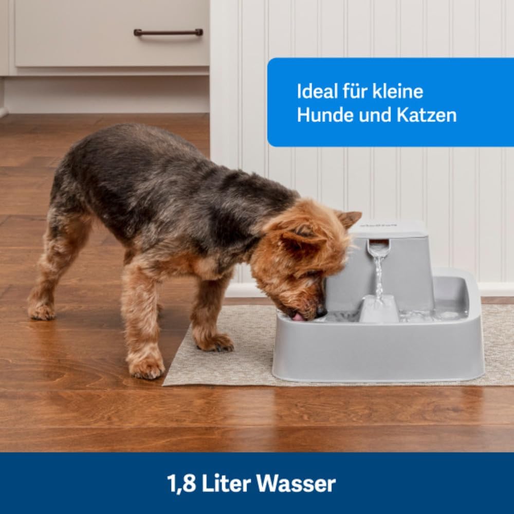 PetSafe Drinkwell Haustierbrunnen, 1/2 Gallon | Freifall-Wasserstrom, Anpassbarer Wasserfluss, Förde