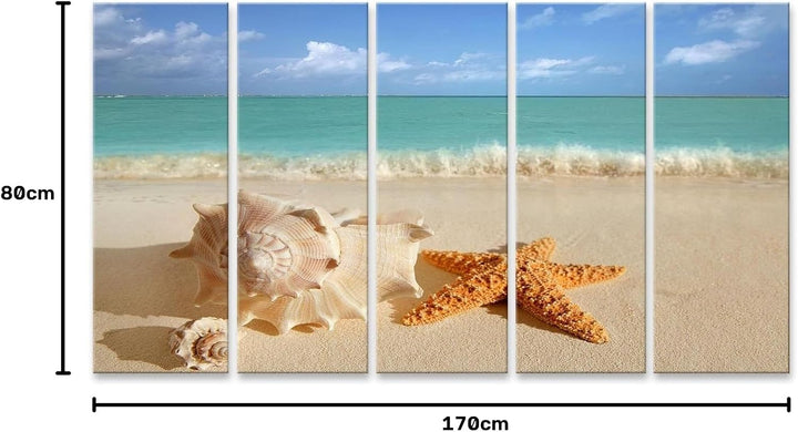 islandburner Bild auf Leinwand Meer Muschel Seestern Im Tropischen Sand Türkisfarbenes Meer Karibik