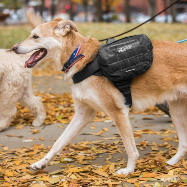 Kurgo RSG Townie Hundegeschirr, Einfaches Anlegen und Abnehmen, Einstellbare Brust- und Bauchgurte,