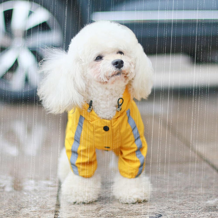 LOS ANDES Regenjacke Hund Wasserdicht für Klein Hunde, Reflektierend, Gelb, S, Polyester, Wasserfest