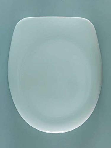 VIGOR GmbH WC-Sitz Vigor, Modell: Derby Basic, Edelstahlscharniere für Stand-WC, weiss alpin Weiss-a
