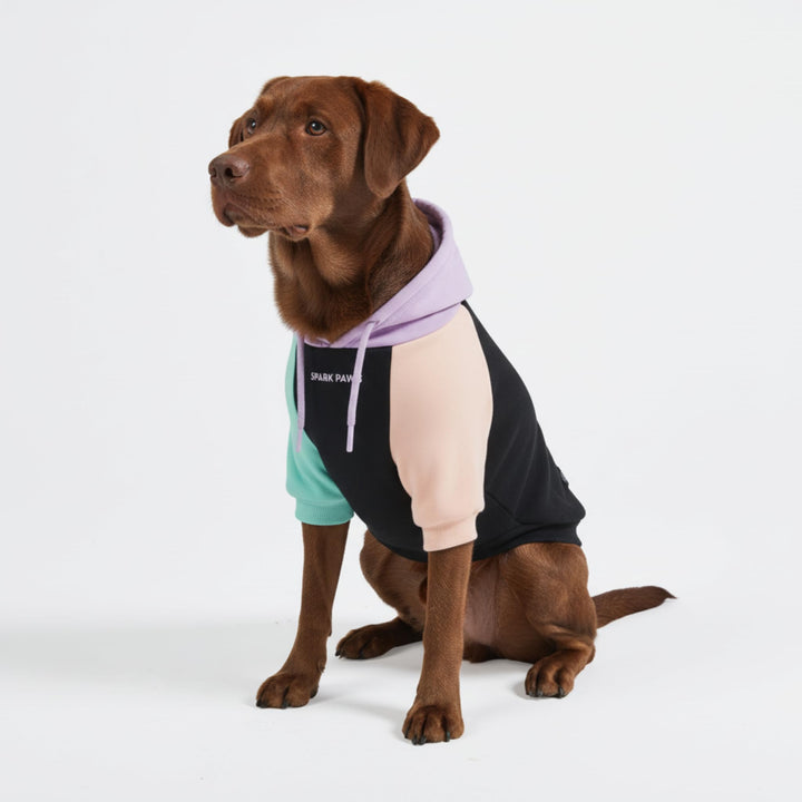 Spark Paws Hunde Hoodie Sweatshirt Pullover - Premium Qualität, weich, Komfortabel und passend für g