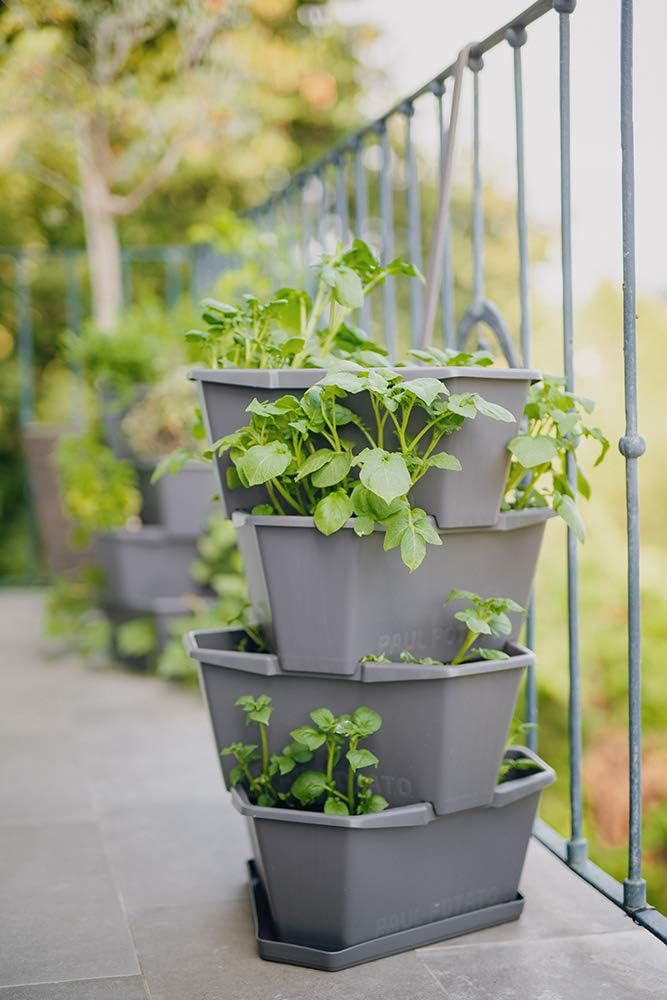 PAUL POTATO Starter Kartoffelturm - 4 Etagen von Gusta Garden - anthrazit/grau - stapelbar - Hochbee