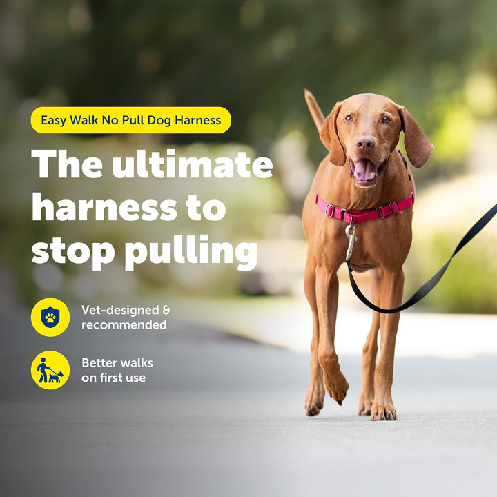 PetSafe Easy Walk Hundegeschirr. rot / schwarz M, rot / schwarz M