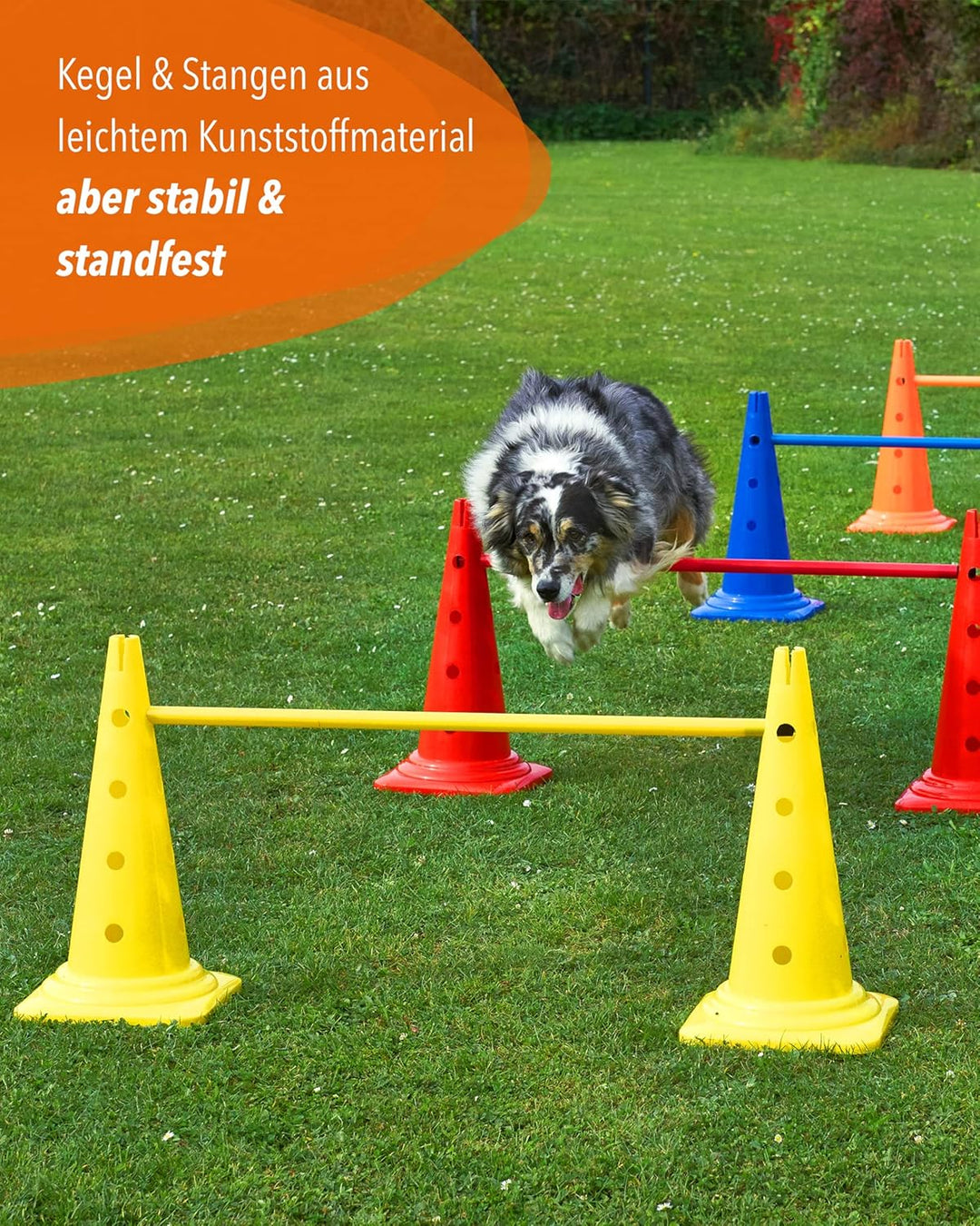 Kombi Kegel-Hürde 50 mit Stangen 100 cm – 4er Set – Parcours-Hindernis für Agility Training – Sprung