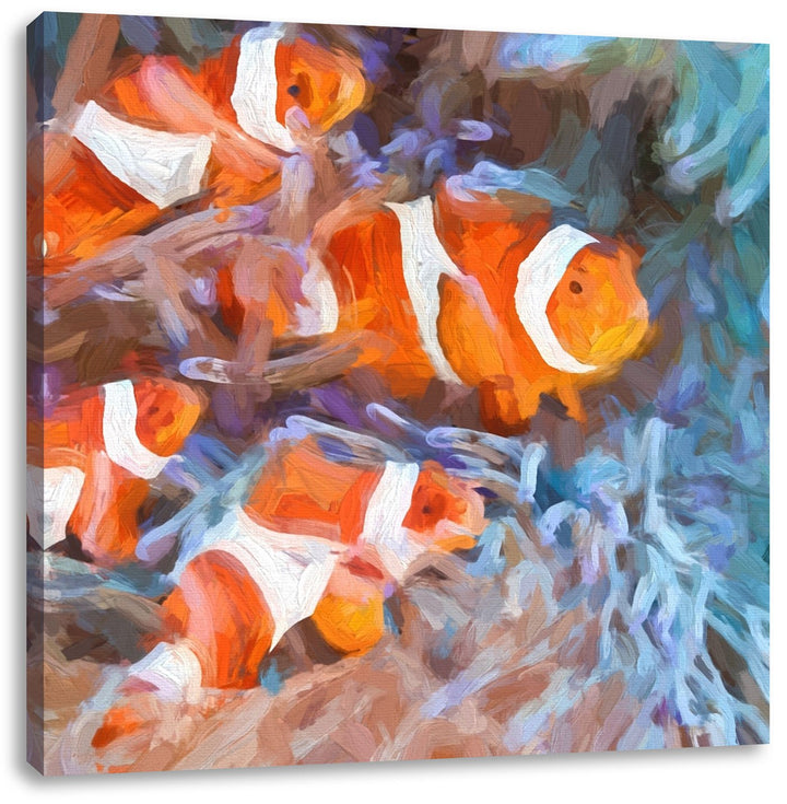 Pixxprint süsse Clownfische in Anemone als Leinwandbild/Grösse: 70x70 cm/Wandbild/Kunstdruck/fertig