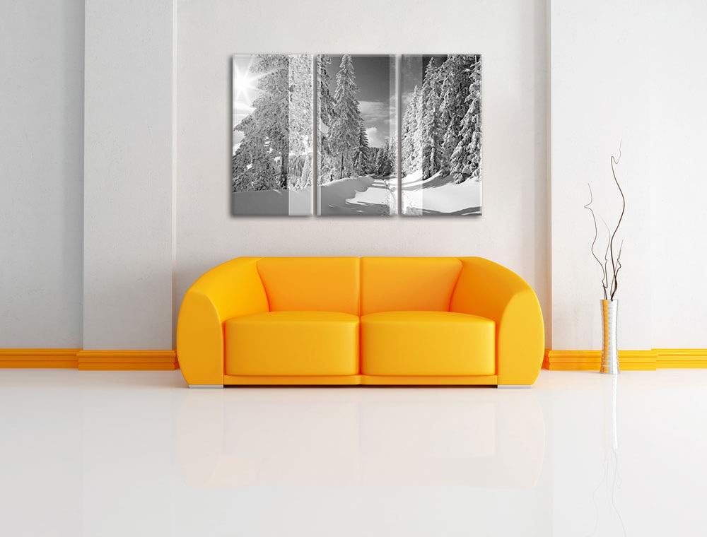 ruhige Winterlandschaft mit verschneiten Bäumen schwarz/weiss 3-Teiler Leinwandbild 120x80 Bild auf